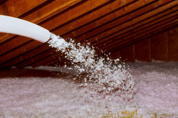 Insulation Inspection Services in Licking, MO