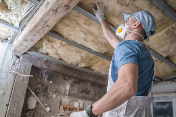 Best Insulation Contractor Near Me  in Licking, MO