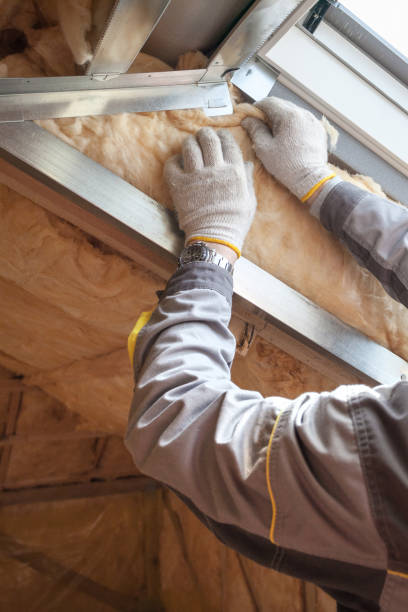 Best Local Insulation Services  in Licking, MO