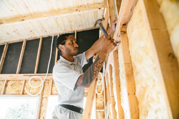Best Insulation Inspection Services  in Licking, MO