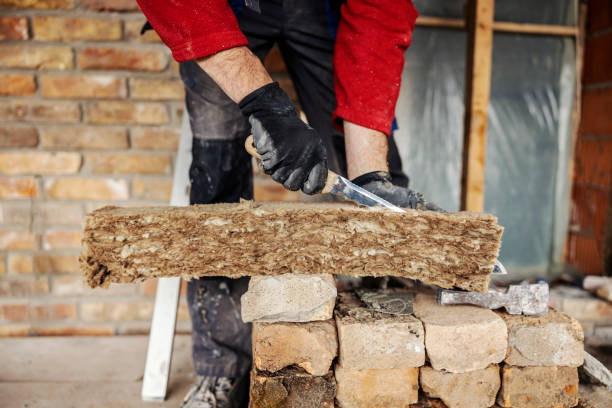 Best Insulation Contractor Near Me  in Licking, MO