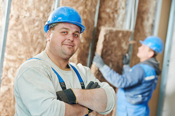 Best Blown-in Insulation  in Licking, MO