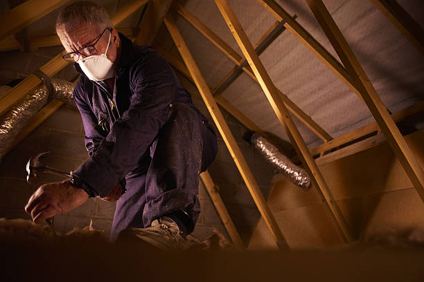 Best Commercial Insulation Contractor  in Licking, MO